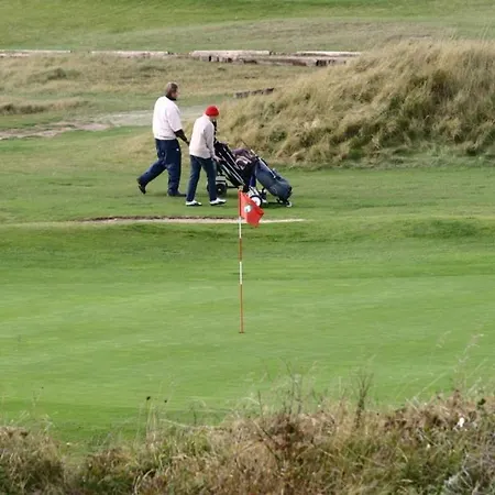 Dahlia 2p דה האן