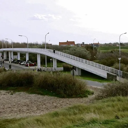 Dahlia 2p דה האן